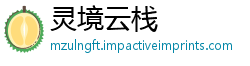 灵境云栈